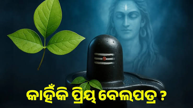 ବେଲ ପତ୍ରର ଗୁଣ ଏବଂ ଶିବଙ୍କ ଏହା ପ୍ରତି ଆଦର କାହିଁକି ଏତେ...