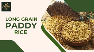 Everything You Need to Know About Long Grain Paddy Rice