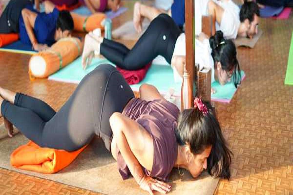 "Empower Your Journey with Yoga Teacher Training in Rishikesh"