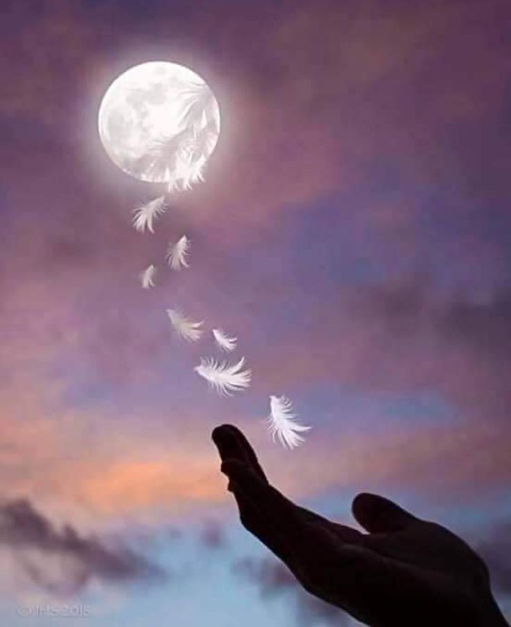 मैं 💫🌠☀️आदि मैं अनन्त ✨✨✨

