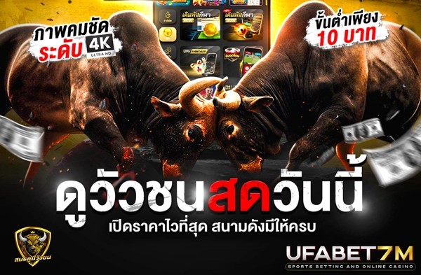 Essential Strategies for Thriving in Online Bullfighting Betting