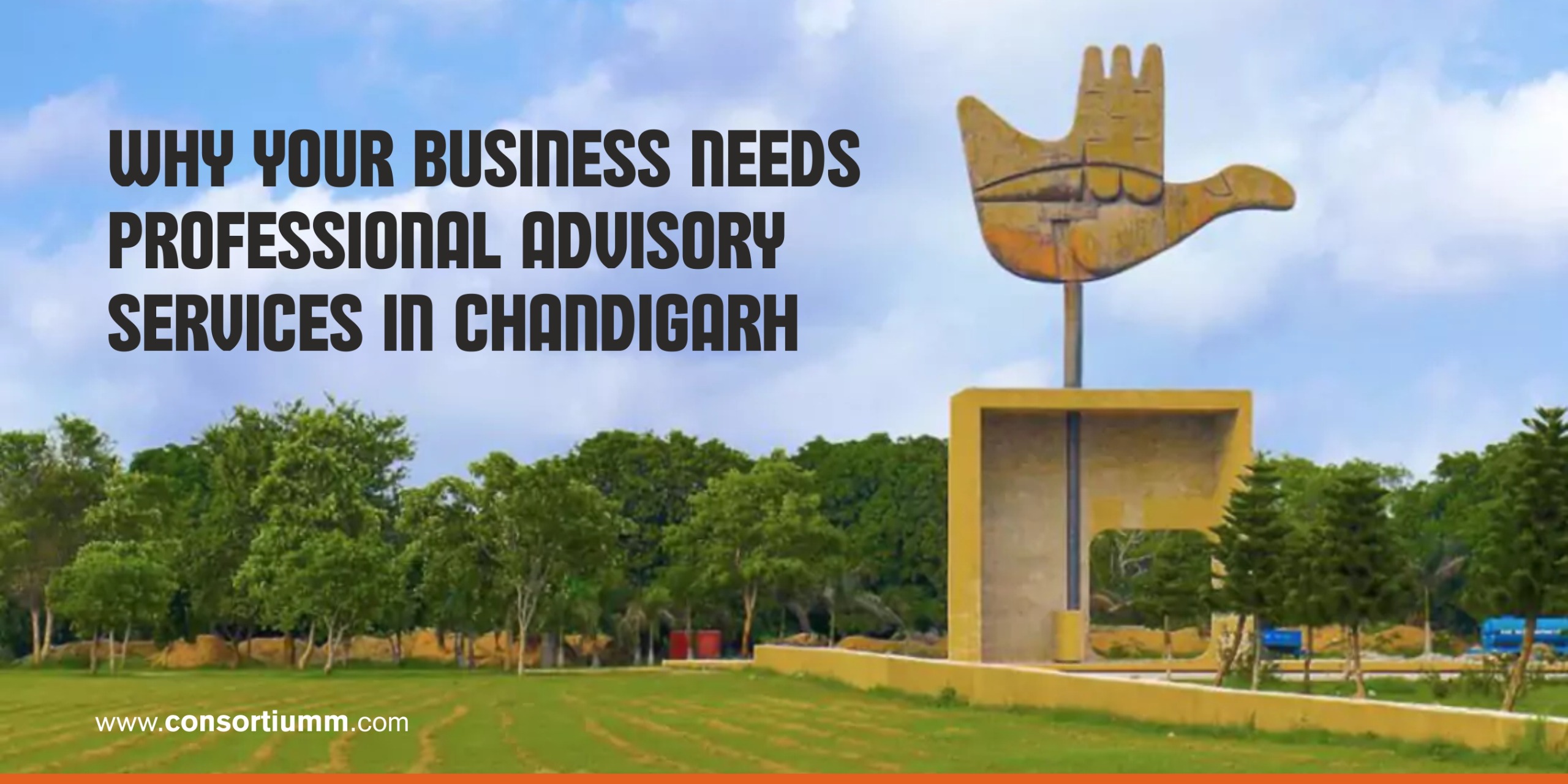 Why Your Business Needs Professional Advisory Services in Chandigarh