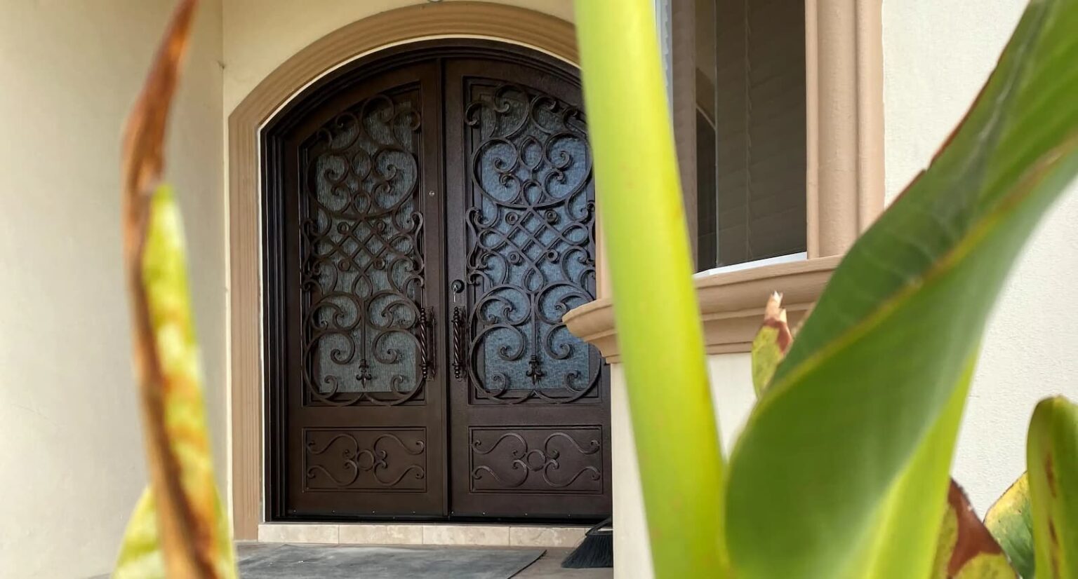 French Steel Doors & Custom Iron Doors: Style, Strength, and Versatility