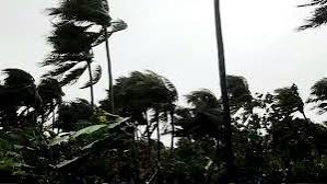 ମୌସୁମୀ ଡାଏରୀ ଦ୍ୱିତୀୟ ଭାଗ