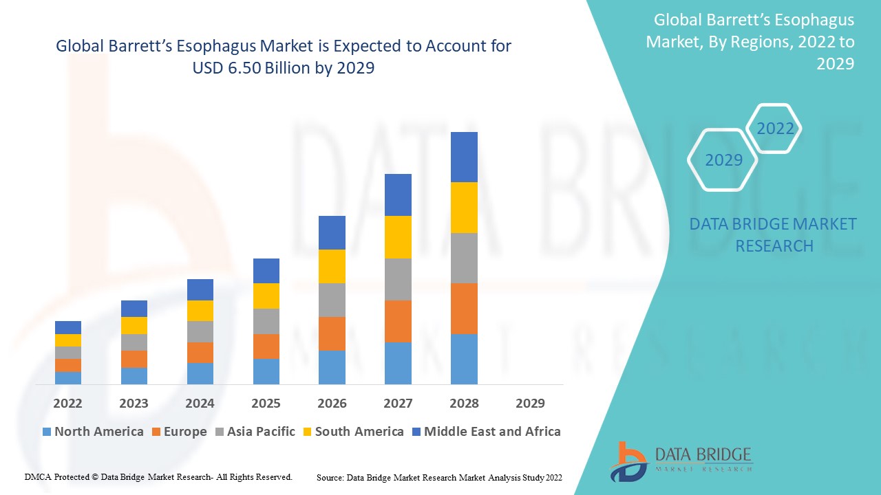 Barrett’s Esophagus Market: Therapeutic Developments and Diagnostic Advances