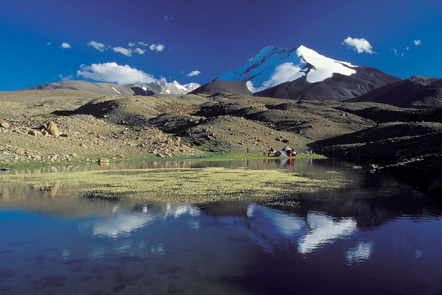 Homestay vs Camping on the Markha Valley Trek: Which Is Worth Your Money