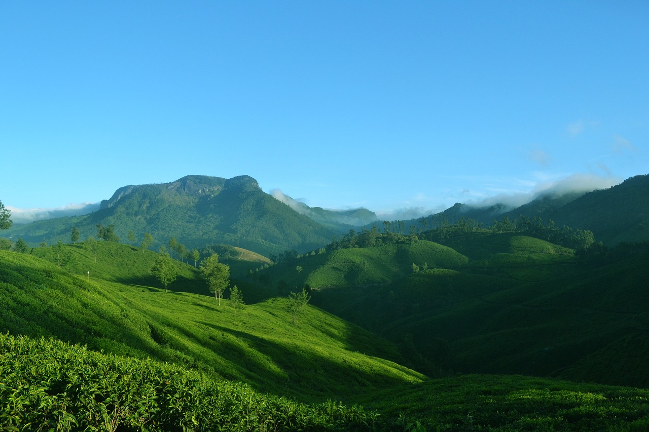 A Perfect 8-Day Escape to Kerala: God's Own Country
