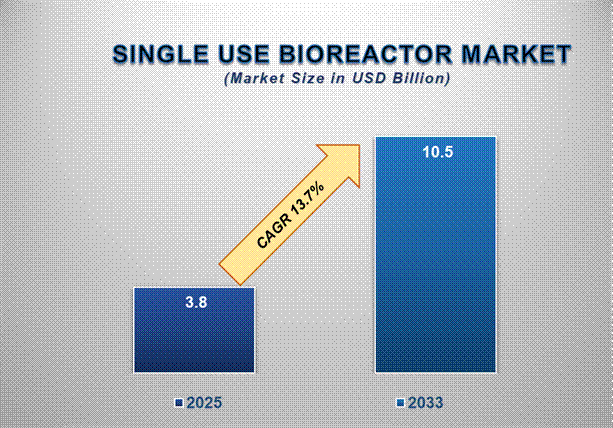 Single Use Bioreactor Market Insights: Growth, Share, Value, Size, and Analysis