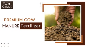 Why Premium Cow Manure Fertilizer Is a Smart Investment for Farmers