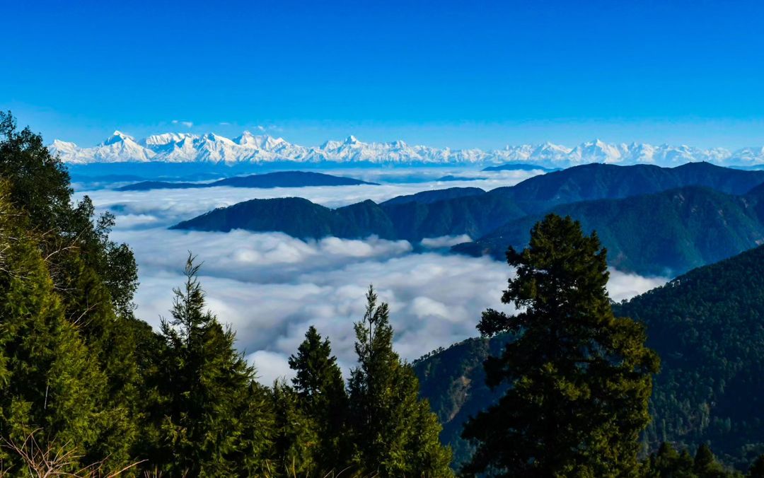 India Tour & Travel Packages