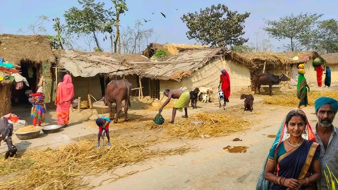 ମୋ ଗାଁ ଲୋକଙ୍କ ମାନସିକତା(The Mindset of My Village)