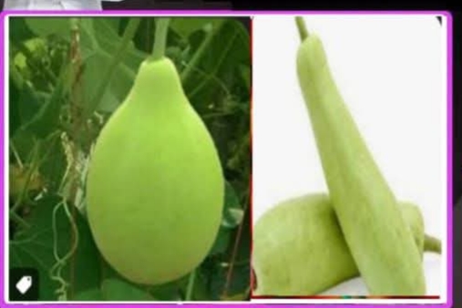 ଆମ ସ୍ବାସ୍ଥ୍ୟ ଶୀର୍ଷକ --ଲାଉ ର ଉପକାରୀ 