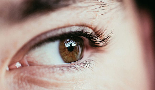 Lash Lift for Short Lashes: Does It Really Work?