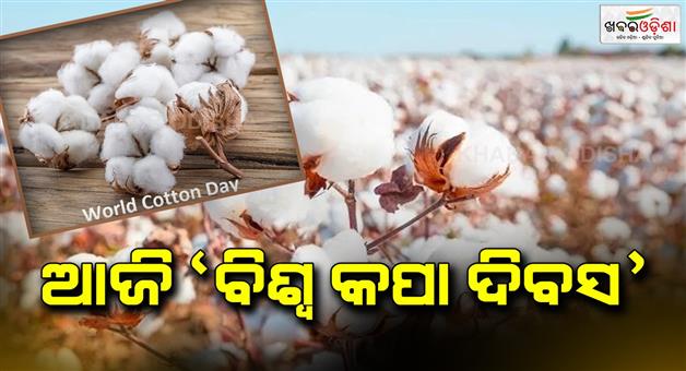 ଚାଷୀ ହାତର ସ୍ପର୍ଶରେ ଜନ୍ମ ନିଏ କପା – ବିଶ୍ୱ କପା ଦିବସରେ ଶ୍ରଦ୍ଧାଞ୍ଜଳି