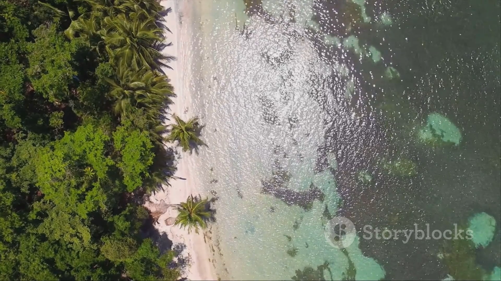 Embark on a Journey of Discovery: Follow Our Travel Adventure!