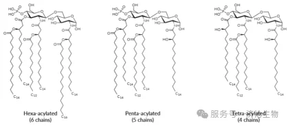 3D-MPLA Adjuvants: Manufacturer Comparison, Structural Differences, and Vaccine Development FAQs