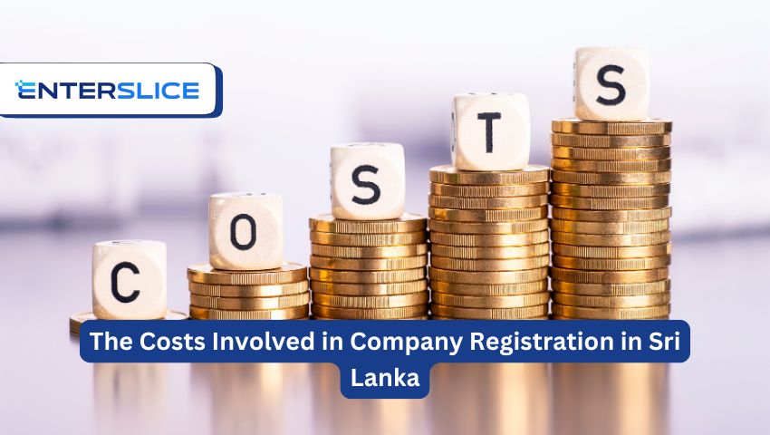 Detailed Breakdown of Costs Involved in Company Registration in Sri Lanka