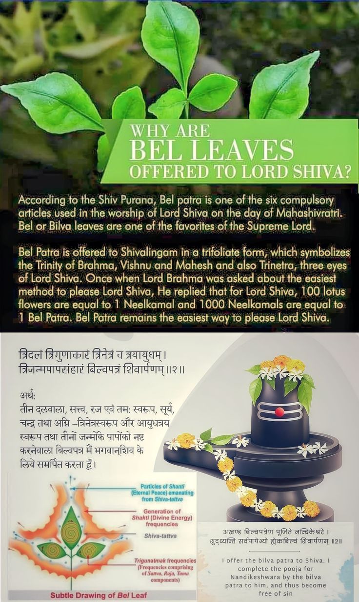 ବେଲ୍ବପତ୍ର ମହାତ୍ମ୍ୟ 