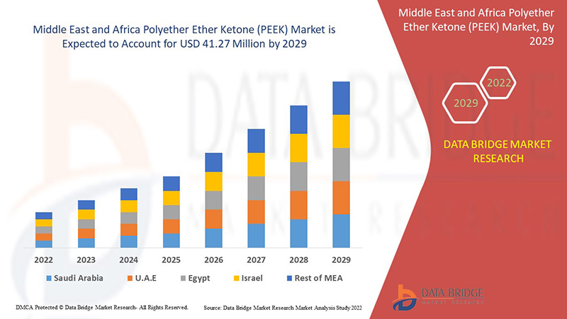 Why the Middle East and Africa Polyether Ether Ketone (PEEK) Market Is Gaining Industrial Importance
