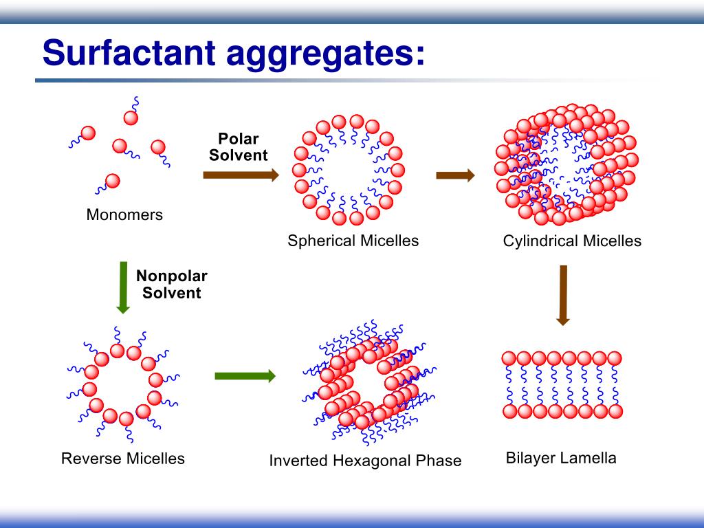 Surfactants Market 2026: Rising Demand for Sustainable & High-Performance Cleaning Solutions