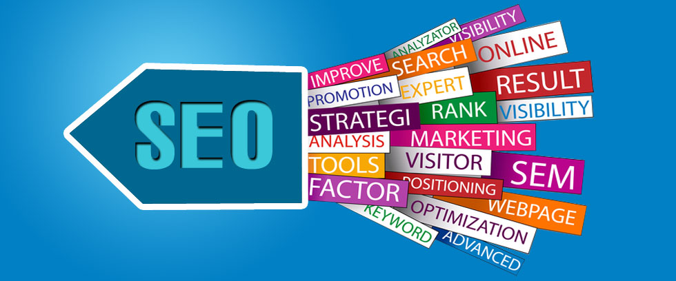 How the Best SEO Company in Vadodara Improves Website Traffic and Lead Generation?