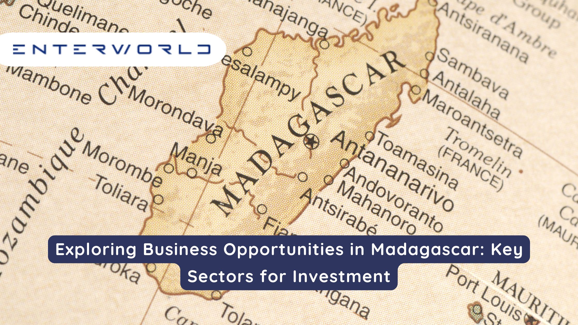 Exploring Business Opportunities in Madagascar: Key Sectors for Investment in 2025