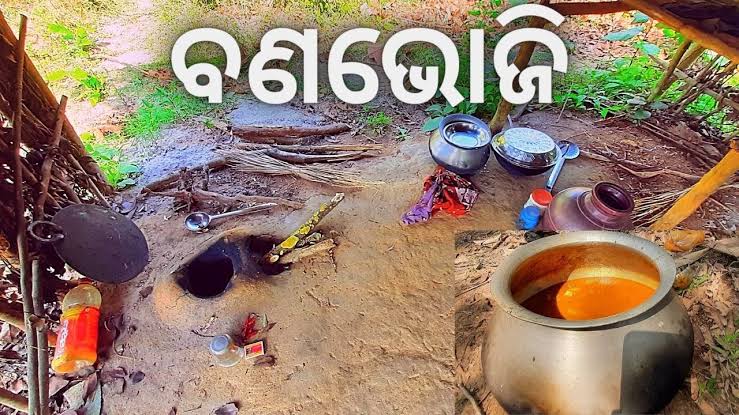 ବଣଭୋଜି ଓ ବନ୍ଧୁତ୍ୱ: ଆନ୍ତର୍ଜାତୀୟ ପିକନିକ ଦିନର ଅବସର