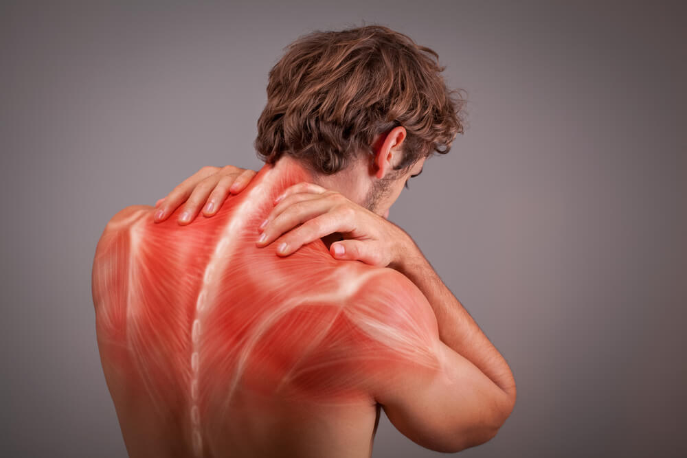 Aleve Back and Muscle Pain Dosage