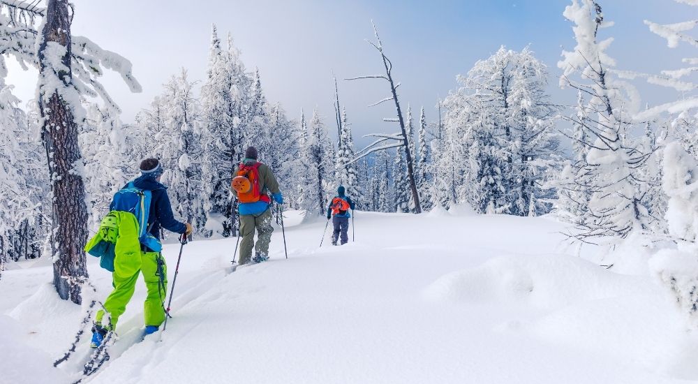 Complete Guide to Sonmarg Travel Packages for Honeymoon Couples