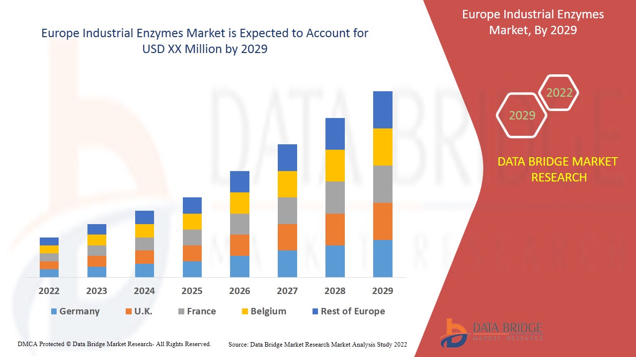 Europe Industrial Enzymes Market Grows Amid Increasing Demand for Sustainable Manufacturing and Bio-