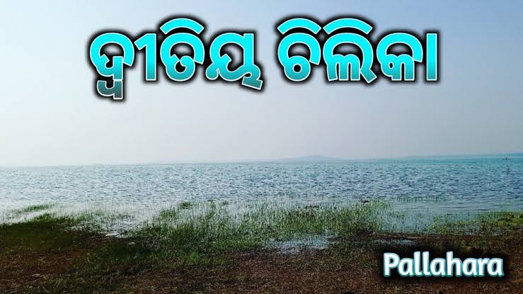 ଓଡ଼ିଶାର ଦ୍ୱିତୀୟ ଚିଲିକା (The second Chilika of Odisha)