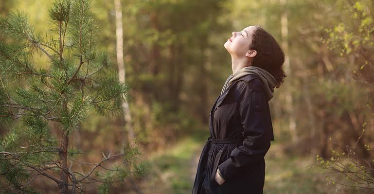 Simple Ways to Embrace Nature in Daily Life