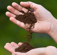 Understanding Top Soil: Why It’s Crucial for Your Lawn and Garden