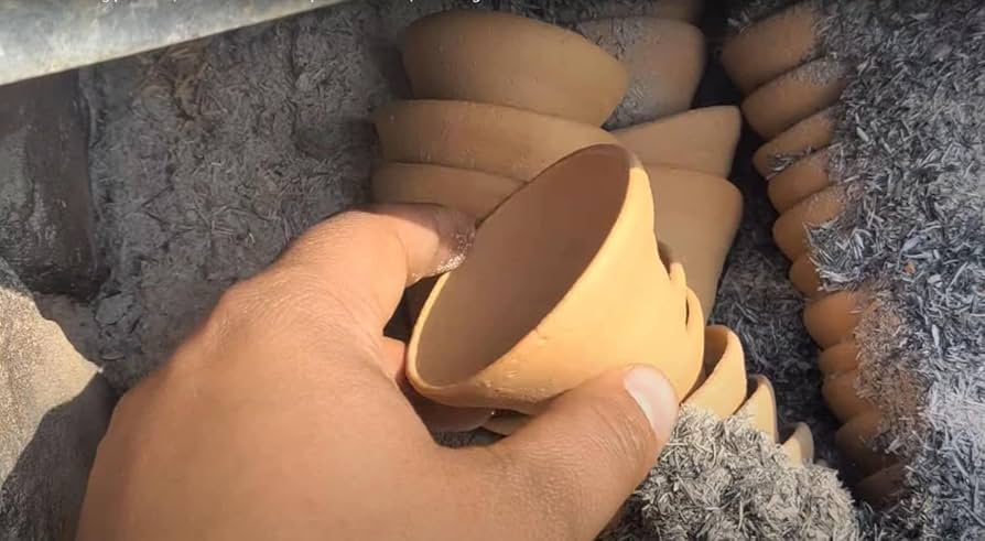 Biodegradable Cups Market: Driving the Future of Sustainable Packaging