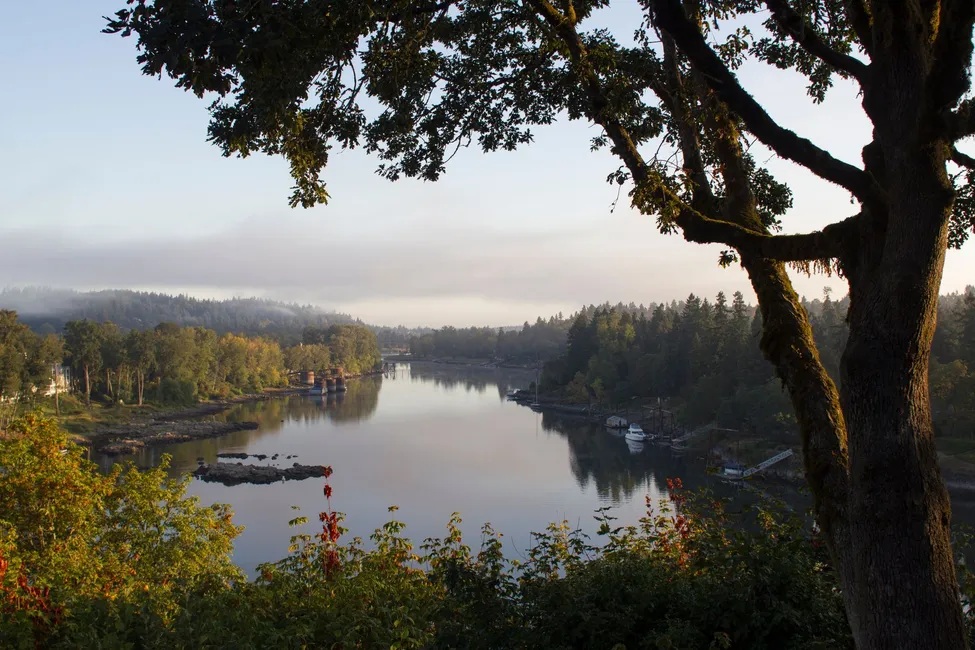 Efficient Commercial Property Management in Willamette Valley: A Guide for Owners