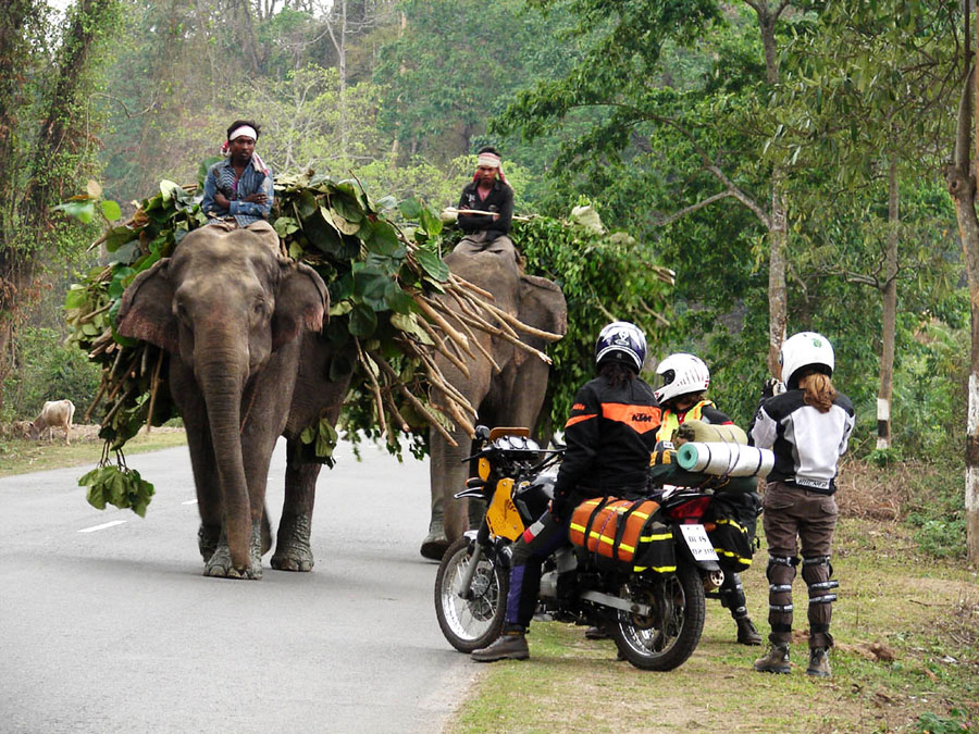 Royal Enfield Himalayan Tour: Your Complete Adventure Guide to Riding Through the Himalayas