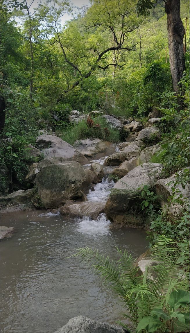 शांति 