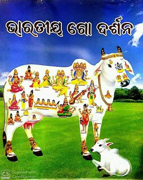 ଗୋମାତା: ବିଶ୍ୱ ମଙ୍ଗଳର ଆଧାର ଏବଂ ଧାର୍ମିକ ସଂସ୍କୃତିର ପ୍ରତୀକ