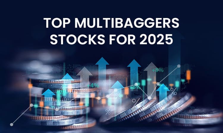 Risk vs. Reward: Should You Invest in Future Multibagger Stocks?
