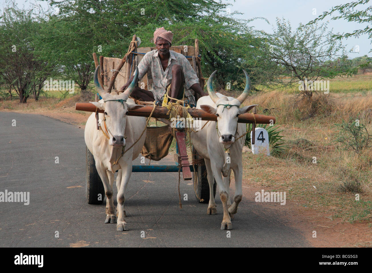 Bullock Cart ଶଗଡ଼ ଗାଡ଼ି 