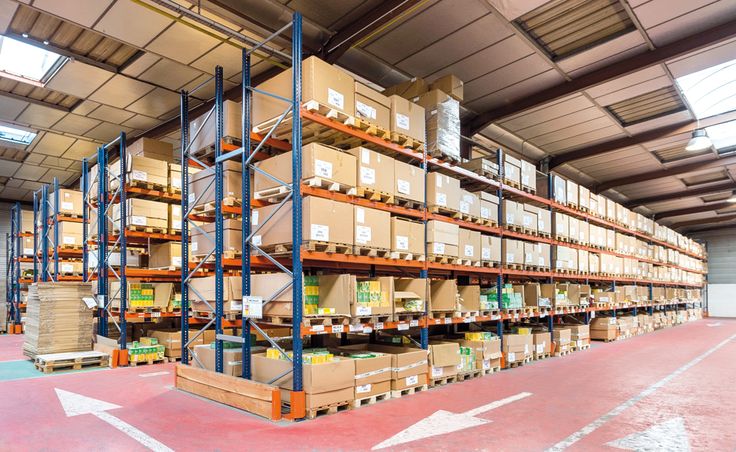 What Makes Logistic Software Management a Must-Have for Growing Businesses?