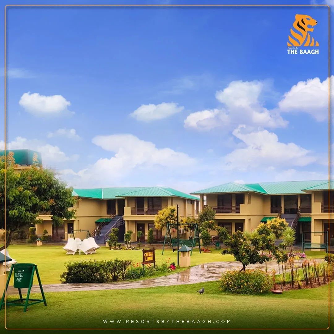 Summer of Serenity: Stay in the best resort in Corbett for a cool forest gateway