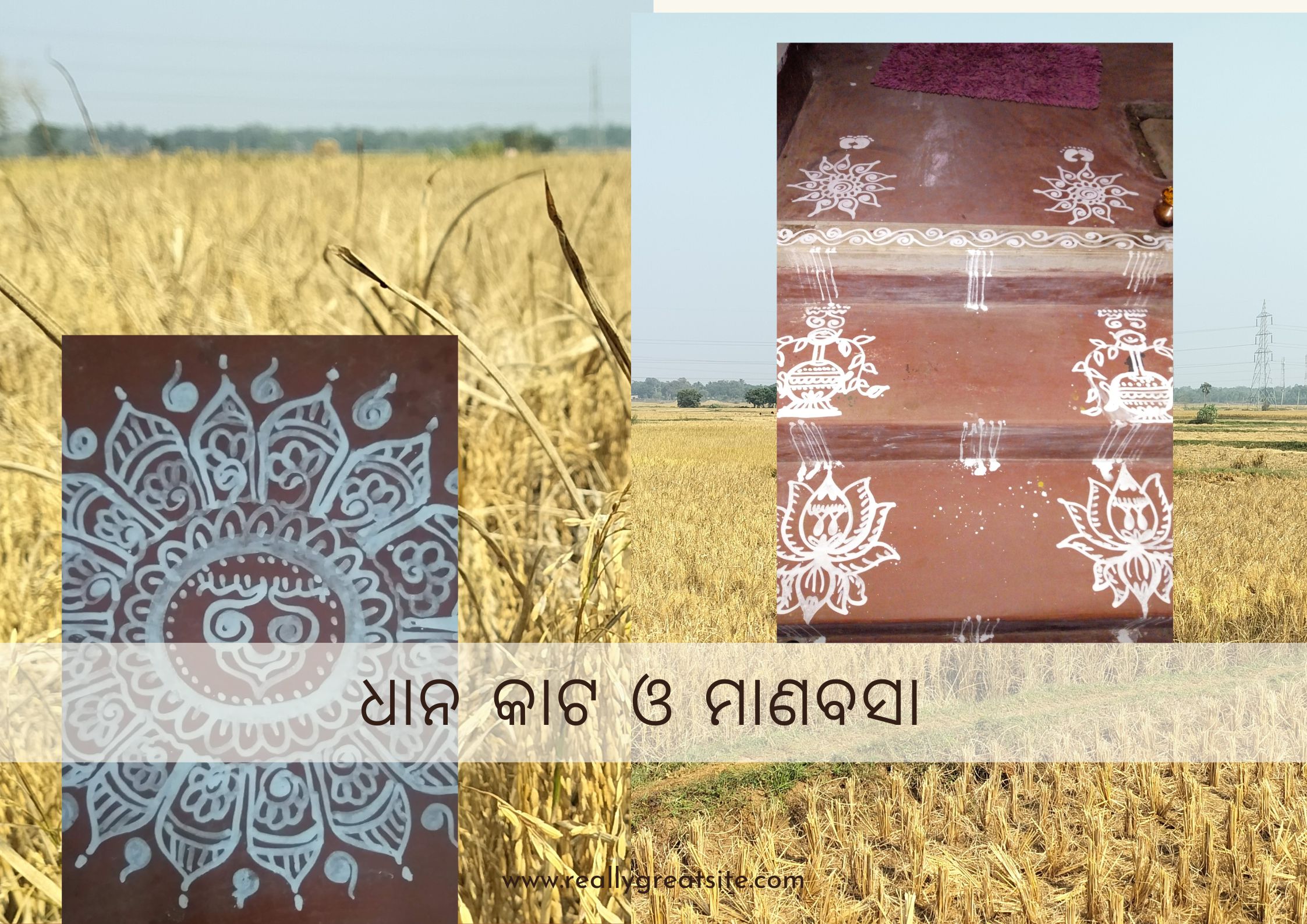 ଉତ୍କଳୀୟ ପରମ୍ପରାରେ ଧାନକଟା ଓ ମାଣବସା