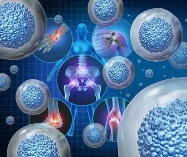 Advanced IVF treatment with stem cells UK: New Research