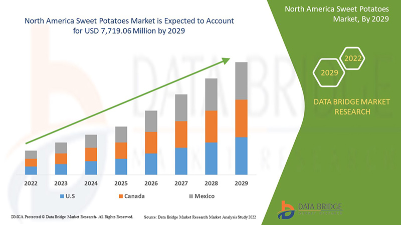 North America Sweet Potatoes Market – Industry Trends and Forecast to 2029