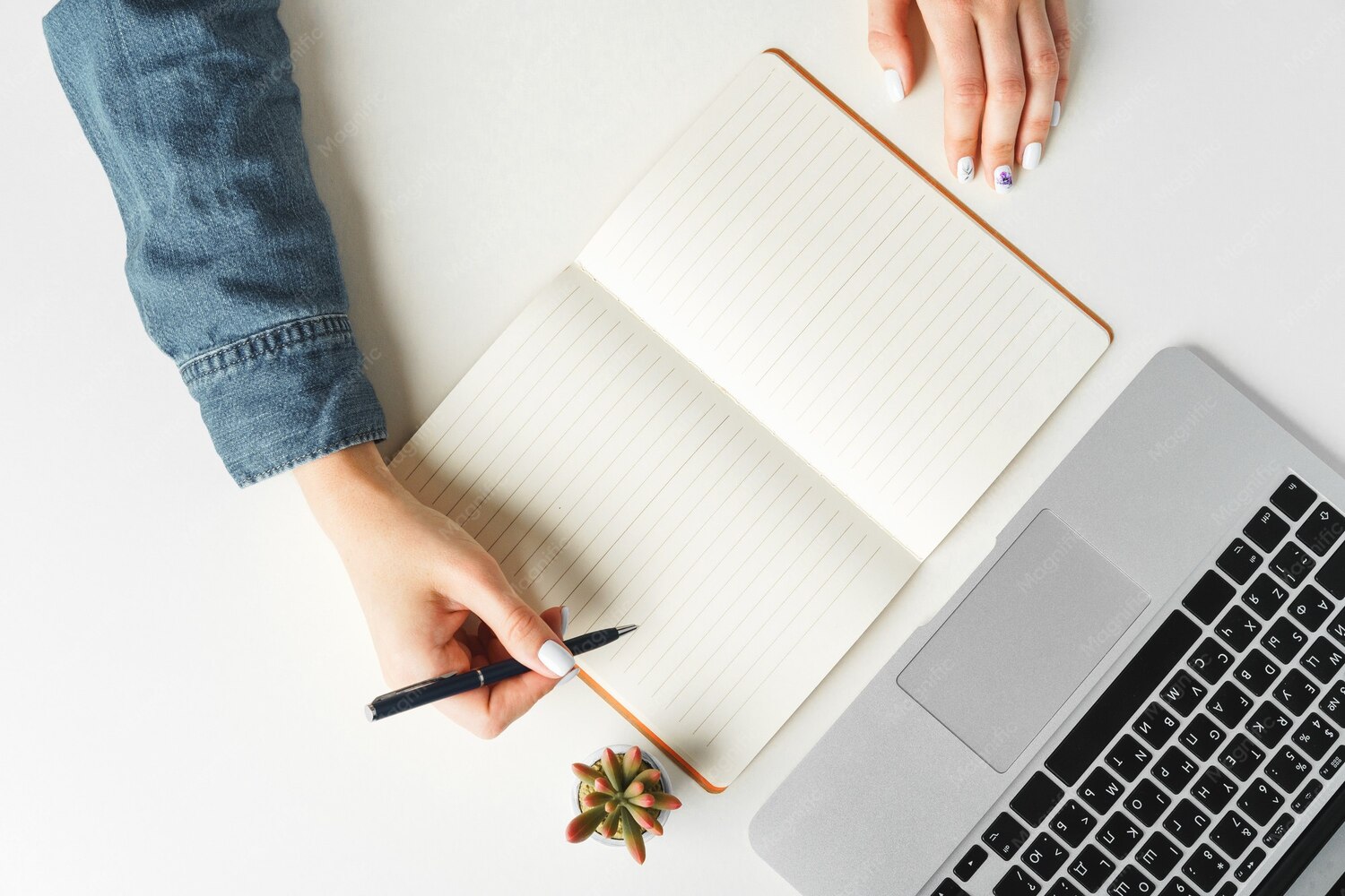 How Can Students Approach Essay Writing When Facing a Deadline?