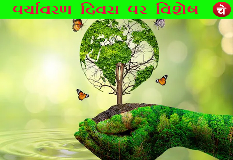 "पर्यावरण संरक्षण के उपाय" और "घर पर पर्यावरण कैसे बचाएं" इस विषय पर आधारित 10 आसान घरेलू उपाय