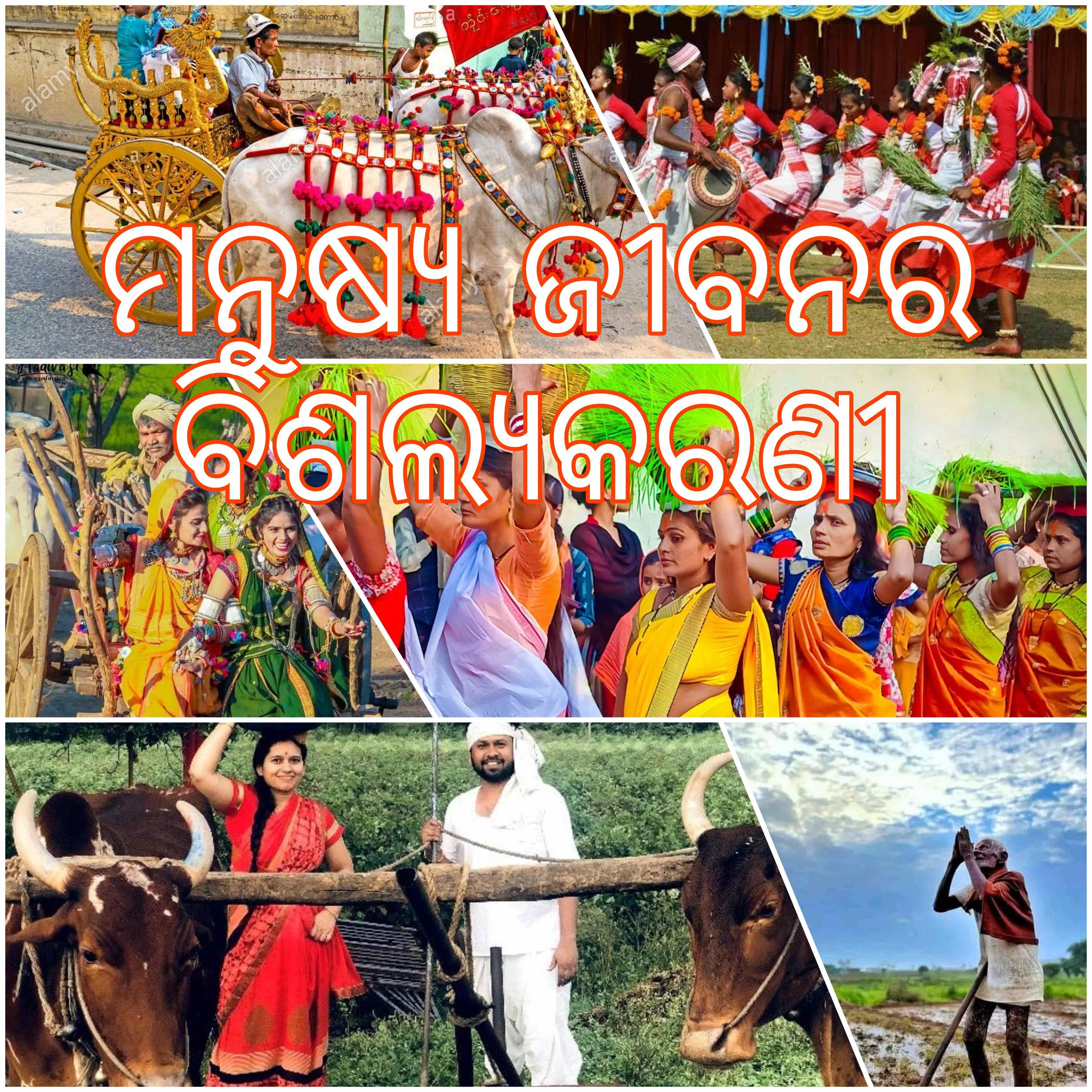 ମନୁଷ୍ୟ ଜୀବନର ବିଶଲ୍ୟକରଣୀ 