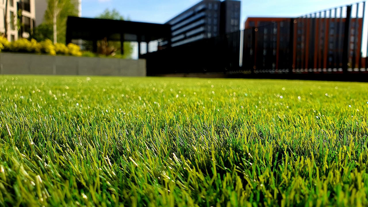 DIY Lawn Care vs Professional Services: Cost and Time Comparison