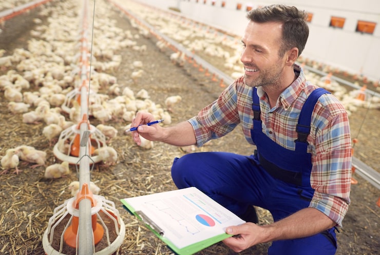 Europe Poultry Feed: Feed Efficiency, Protein Security, and Sustainable Nutrition Shape the Industry